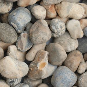 Oyster Pebbles Dry